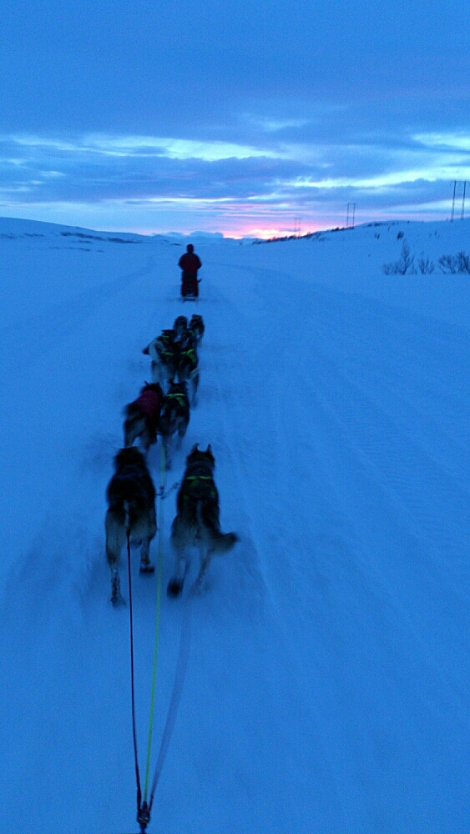 Ingrid kjører gjennom det blå landskapet, mens Tore følger hakk i hæl. Foto: Tore Amundsen 